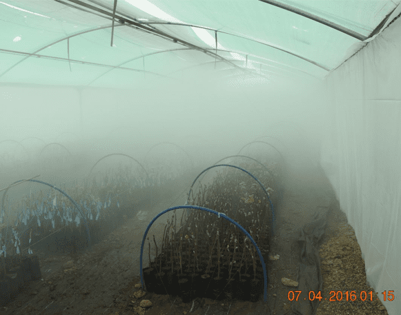 Greenhouse Fogging System
